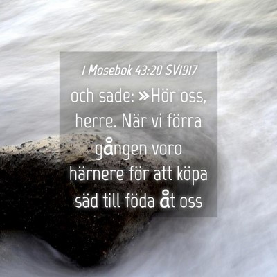Picture 04 - 1 Mosebok 43:20 SV1917 - och sade: »Hör oss, herre. När vi förra - Bible Verse Picture