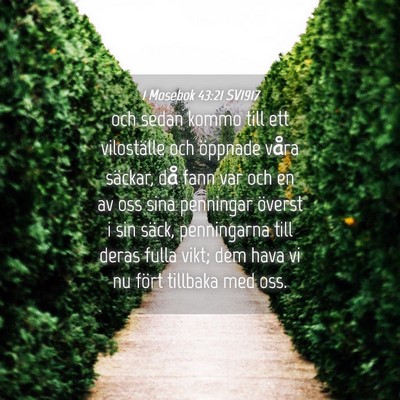 Picture 04 - 1 Mosebok 43:21 SV1917 - och sedan kommo till ett viloställe och öppnade - Bible Verse Picture