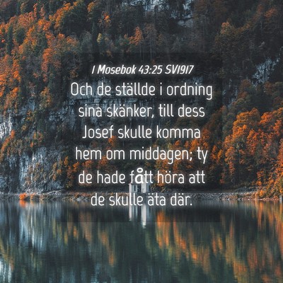 Picture 04 - 1 Mosebok 43:25 SV1917 - Och de ställde i ordning sina skänker, till - Bible Verse Picture