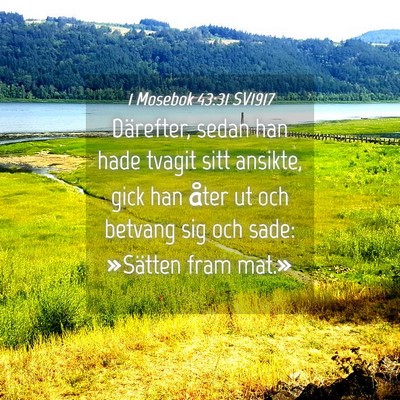 Picture 04 - 1 Mosebok 43:31 SV1917 - Därefter, sedan han hade tvagit sitt ansikte, - Bible Verse Picture