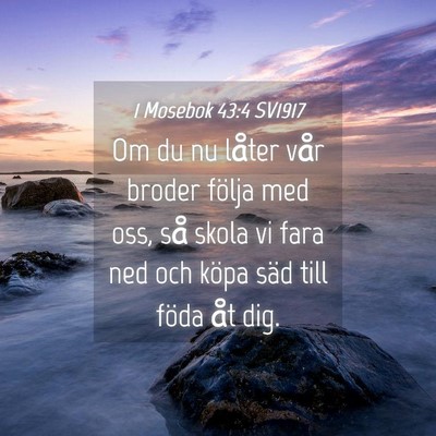 Picture 04 - 1 Mosebok 43:4 SV1917 - Om du nu låter vår broder följa med oss, så - Bible Verse Picture