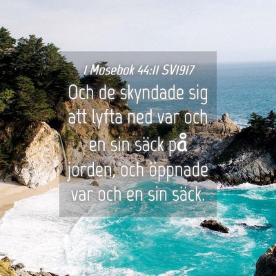 Picture 04 - 1 Mosebok 44:11 SV1917 - Och de skyndade sig att lyfta ned var och en sin - Bible Verse Picture
