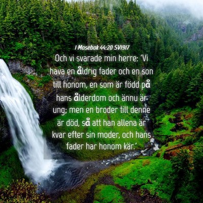 Picture 04 - 1 Mosebok 44:20 SV1917 - Och vi svarade min herre: 'Vi hava en åldrig - Bible Verse Picture