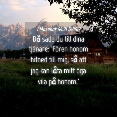Picture 04 - 1 Mosebok 44:21 SV1917 - Då sade du till dina tjänare: 'Fören honom - Bible Verse Picture
