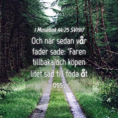Picture 04 - 1 Mosebok 44:25 SV1917 - Och när sedan vår fader sade: 'Faren tillbaka - Bible Verse Picture