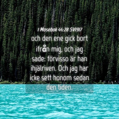 Picture 04 - 1 Mosebok 44:28 SV1917 - och den ene gick bort ifrån mig, och jag sade: - Bible Verse Picture