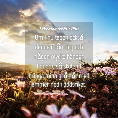 Picture 04 - 1 Mosebok 44:29 SV1917 - Om I nu tagen också denne ifrån mig och någon - Bible Verse Picture