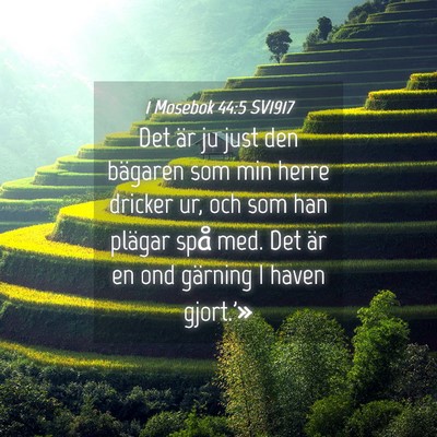 Picture 04 - 1 Mosebok 44:5 SV1917 - Det är ju just den bägaren som min herre - Bible Verse Picture