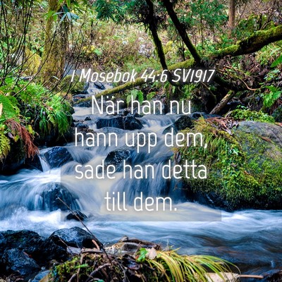 Picture 04 - 1 Mosebok 44:6 SV1917 - När han nu hann upp dem, sade han detta till - Bible Verse Picture