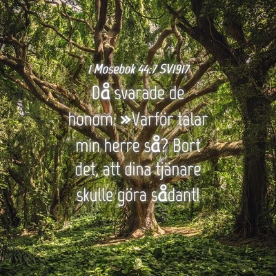 Picture 04 - 1 Mosebok 44:7 SV1917 - Då svarade de honom: »Varför talar min herre - Bible Verse Picture