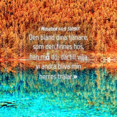 Picture 04 - 1 Mosebok 44:9 SV1917 - Den bland dina tjänare, som den finnes hos, han - Bible Verse Picture
