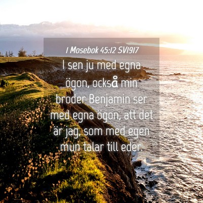 Picture 04 - 1 Mosebok 45:12 SV1917 - I sen ju med egna ögon, också min broder - Bible Verse Picture