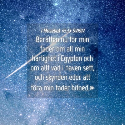 Picture 04 - 1 Mosebok 45:13 SV1917 - Berätten nu för min fader om all min härlighet - Bible Verse Picture