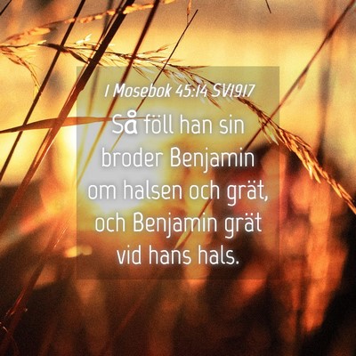 Picture 04 - 1 Mosebok 45:14 SV1917 - Så föll han sin broder Benjamin om halsen och - Bible Verse Picture