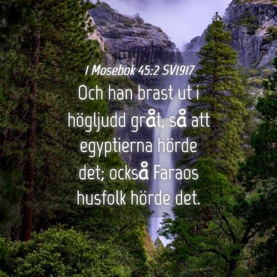 Picture 04 - 1 Mosebok 45:2 SV1917 - Och han brast ut i högljudd gråt, så att - Bible Verse Picture