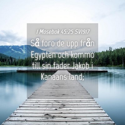 Picture 04 - 1 Mosebok 45:25 SV1917 - Så foro de upp från Egypten och kommo till sin - Bible Verse Picture