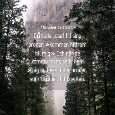 Picture 04 - 1 Mosebok 45:4 SV1917 - Då sade Josef till sina bröder: »Kommen - Bible Verse Picture