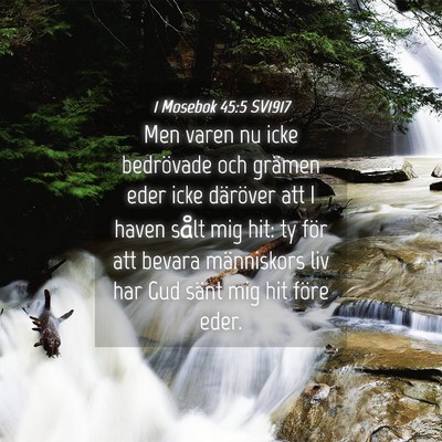 Picture 04 - 1 Mosebok 45:5 SV1917 - Men varen nu icke bedrövade och grämen eder - Bible Verse Picture