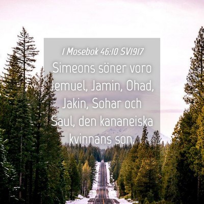 Picture 04 - 1 Mosebok 46:10 SV1917 - Simeons söner voro Jemuel, Jamin, Ohad, Jakin, - Bible Verse Picture