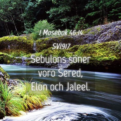 Picture 04 - 1 Mosebok 46:14 SV1917 - Sebulons söner voro Sered, Elon och - Bible Verse Picture