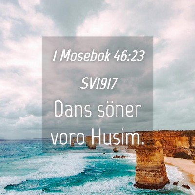 Picture 04 - 1 Mosebok 46:23 SV1917 - Dans söner voro - Bible Verse Picture