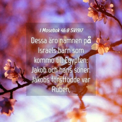 Picture 04 - 1 Mosebok 46:8 SV1917 - Dessa äro namnen på Israels barn som kommo till - Bible Verse Picture
