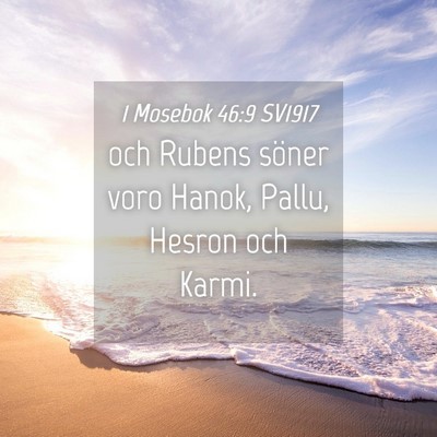 Picture 04 - 1 Mosebok 46:9 SV1917 - och Rubens söner voro Hanok, Pallu, Hesron och - Bible Verse Picture