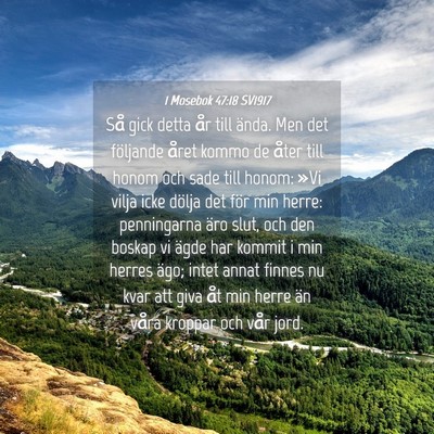 Picture 04 - 1 Mosebok 47:18 SV1917 - Så gick detta år till ända. Men det följande - Bible Verse Picture