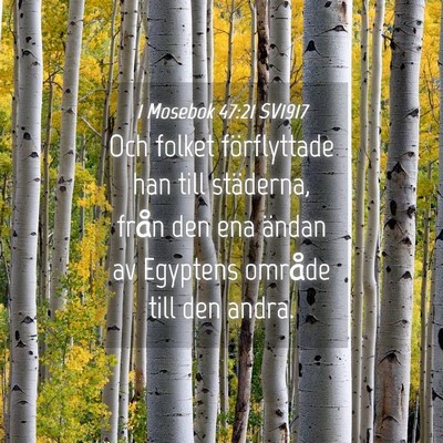 Picture 04 - 1 Mosebok 47:21 SV1917 - Och folket förflyttade han till städerna, från - Bible Verse Picture