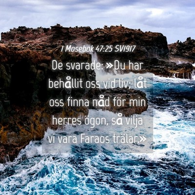 Picture 04 - 1 Mosebok 47:25 SV1917 - De svarade: »Du har behållit oss vid liv; låt - Bible Verse Picture