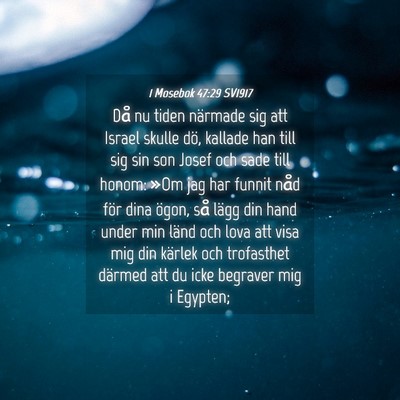 Picture 04 - 1 Mosebok 47:29 SV1917 - Då nu tiden närmade sig att Israel skulle dö, - Bible Verse Picture