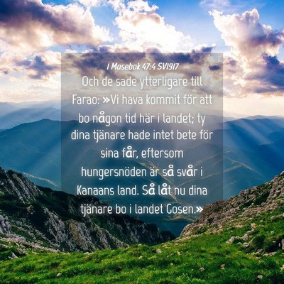 Picture 04 - 1 Mosebok 47:4 SV1917 - Och de sade ytterligare till Farao: »Vi hava - Bible Verse Picture