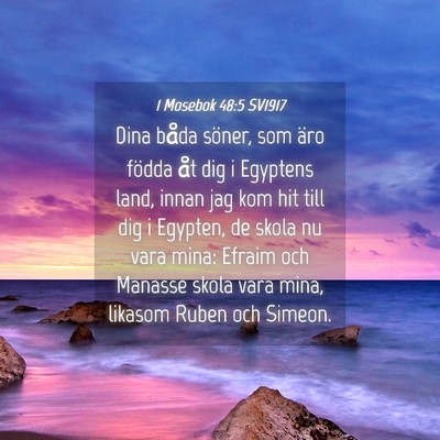 Picture 04 - 1 Mosebok 48:5 SV1917 - Dina båda söner, som äro födda åt dig i - Bible Verse Picture