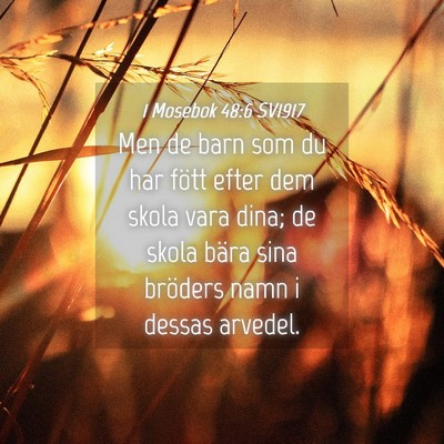Picture 04 - 1 Mosebok 48:6 SV1917 - Men de barn som du har fött efter dem skola vara - Bible Verse Picture
