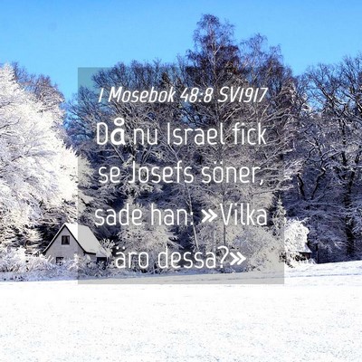 Picture 04 - 1 Mosebok 48:8 SV1917 - Då nu Israel fick se Josefs söner, sade han: - Bible Verse Picture
