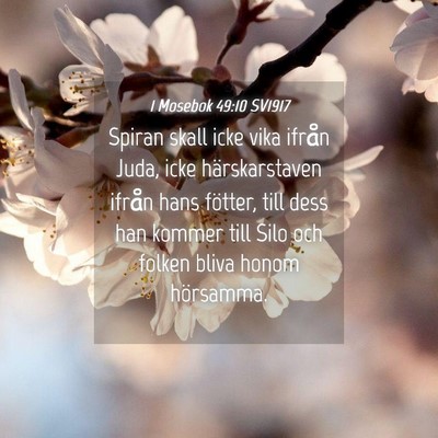 Picture 04 - 1 Mosebok 49:10 SV1917 - Spiran skall icke vika ifrån Juda, icke - Bible Verse Picture