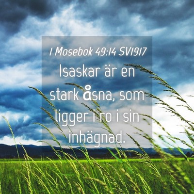 Picture 04 - 1 Mosebok 49:14 SV1917 - Isaskar är en stark åsna, som ligger i ro i sin - Bible Verse Picture