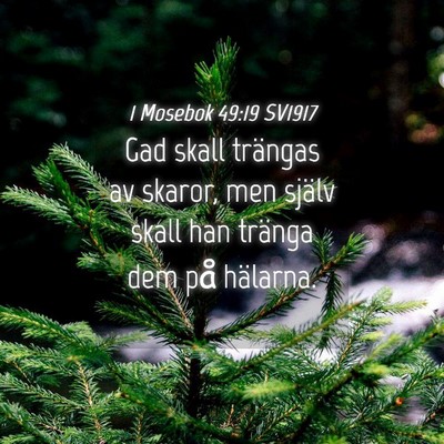 Picture 04 - 1 Mosebok 49:19 SV1917 - Gad skall trängas av skaror, men själv skall - Bible Verse Picture