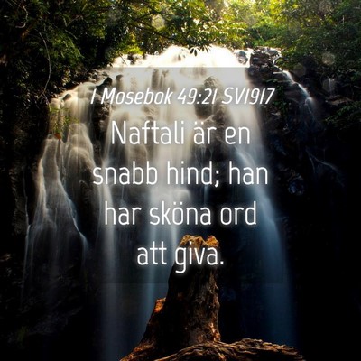 Picture 04 - 1 Mosebok 49:21 SV1917 - Naftali är en snabb hind; han har sköna ord att - Bible Verse Picture