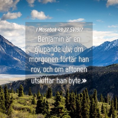 Picture 04 - 1 Mosebok 49:27 SV1917 - Benjamin är en glupande ulv; om morgonen - Bible Verse Picture