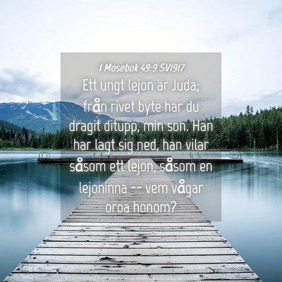 Picture 04 - 1 Mosebok 49:9 SV1917 - Ett ungt lejon är Juda; från rivet byte har du - Bible Verse Picture