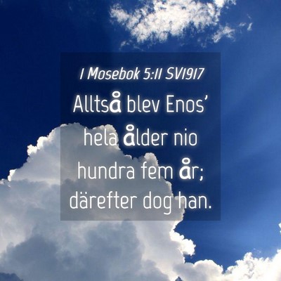 Picture 04 - 1 Mosebok 5:11 SV1917 - Alltså blev Enos' hela ålder nio hundra fem - Bible Verse Picture