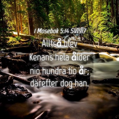 Picture 04 - 1 Mosebok 5:14 SV1917 - Alltså blev Kenans hela ålder nio hundra tio - Bible Verse Picture