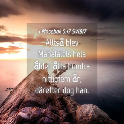 Picture 04 - 1 Mosebok 5:17 SV1917 - Alltså blev Mahalalels hela ålder åtta hundra - Bible Verse Picture