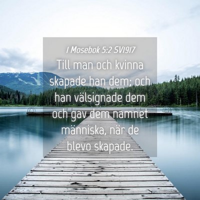Picture 04 - 1 Mosebok 5:2 SV1917 - Till man och kvinna skapade han dem; och han - Bible Verse Picture
