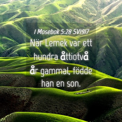 Picture 04 - 1 Mosebok 5:28 SV1917 - När Lemek var ett hundra åttiotvå år gammal, - Bible Verse Picture