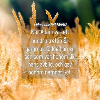 Picture 04 - 1 Mosebok 5:3 SV1917 - När Adam var ett hundra trettio år gammal, - Bible Verse Picture