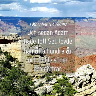 Picture 04 - 1 Mosebok 5:4 SV1917 - Och sedan Adam hade fött Set, levde han åtta - Bible Verse Picture