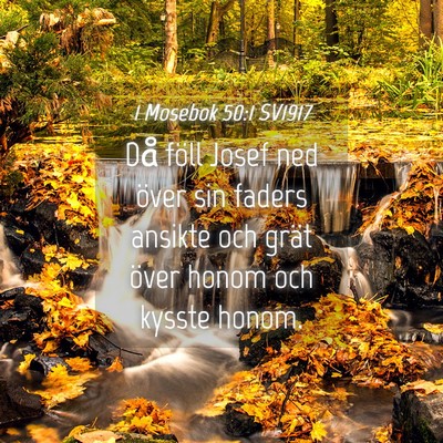Picture 04 - 1 Mosebok 50:1 SV1917 - Då föll Josef ned över sin faders ansikte och - Bible Verse Picture