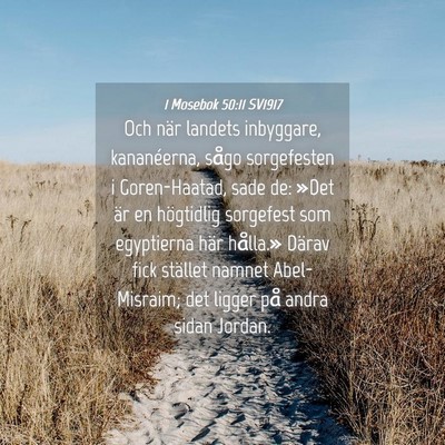 Picture 04 - 1 Mosebok 50:11 SV1917 - Och när landets inbyggare, kananéerna, sågo - Bible Verse Picture